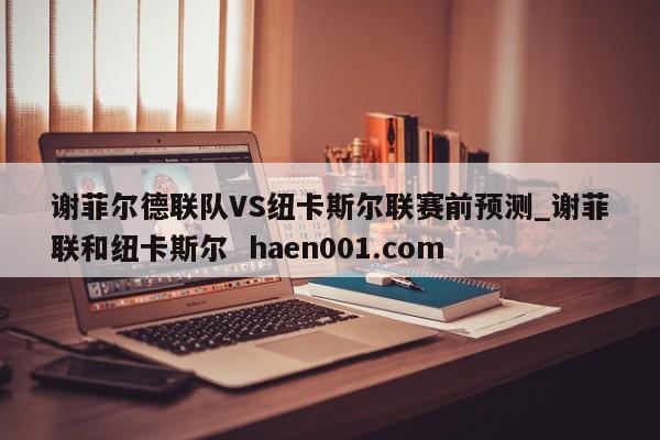 谢菲尔德联队VS纽卡斯尔联赛前预测_谢菲联和纽卡斯尔 haen001.com